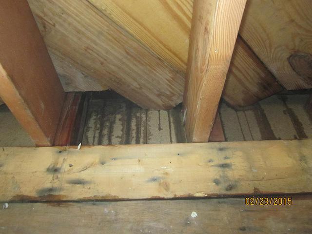 Interior Leak from Ice Damming