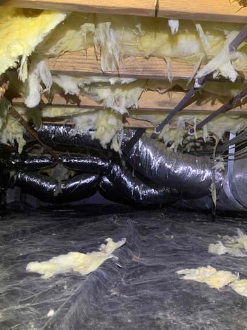 Falling Insulation