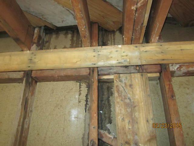 Siding Leaks