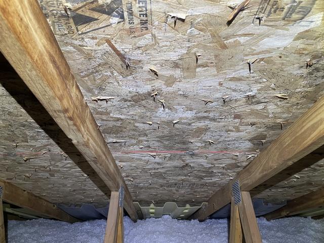 Mold remediation & Cellulose Insulation, West Bloomfield