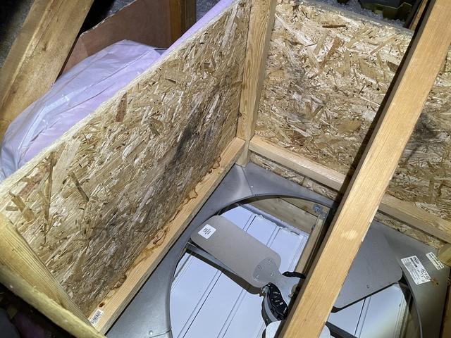 Mold in a attic West Bloomfield, MI