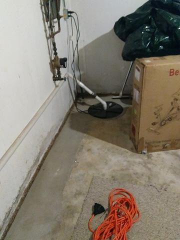 Existing Sump Pump