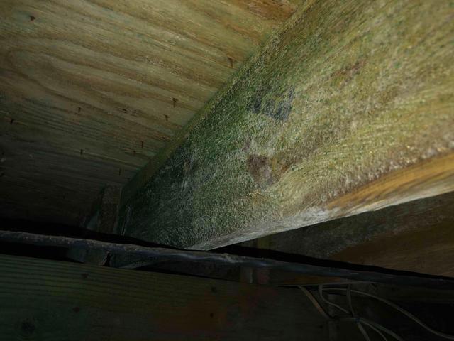 Mold and mildew have grown on many of the wooden floor joists in this crawl space. Mold growth can occur on any organic material in the crawl space so long as the relative humidity reaches over 60% during warmer temperatures. Mold spores and musty odors can then rise into the home and irritate those with allergies and asthma.