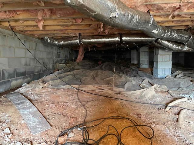 This crawl space has moisture issues