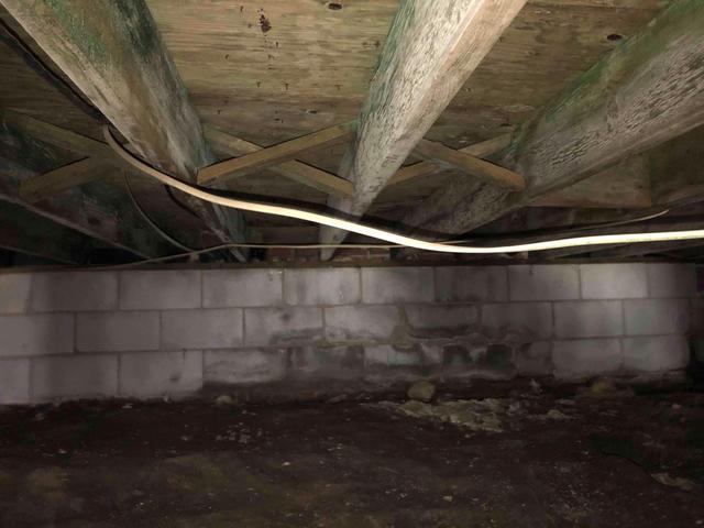 The walls of this crawl space were made with porous cinderblocks, and efflorescence is visible along the walls. This suggests that moisture seeped through these walls, bringing along with it the inner salts and sediments to the surface, creating a chalky, powdery substance on the cinderblocks. The moisture seeping through can affect the relative humidity and environment.