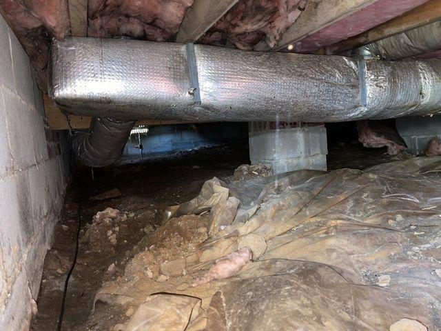 Crawl Space in need of TLC