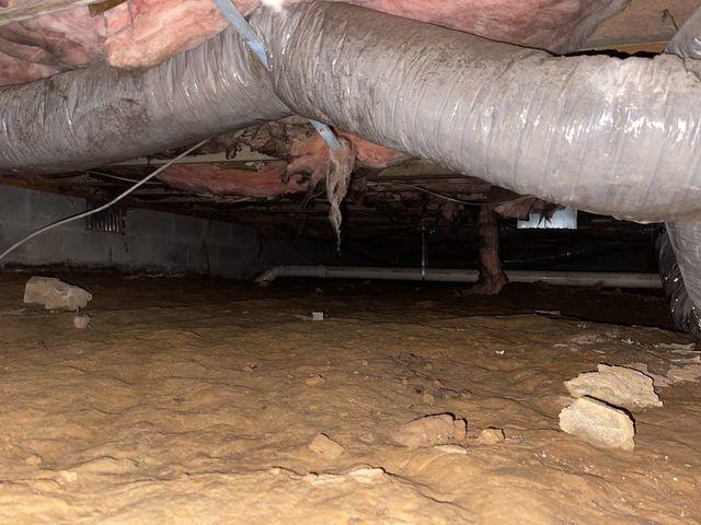 Crawl Space in Need of TLC