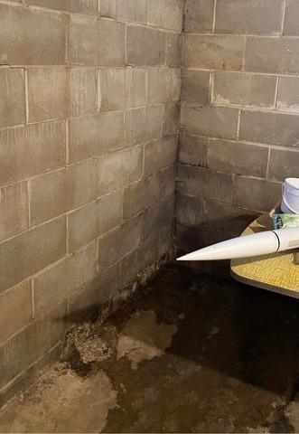 Water Damaged Floors and Eroded Basement Walls