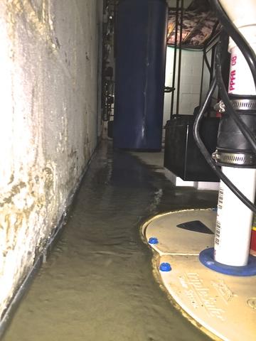 <p>Our team installed 1/3hp and a 1/2hp pump along with a battery back up system. Each sump pump removes water from the house to keep it dry. The battery back up is used when severe weather causes power outages to occur so your home stays dry when you need it most.</p>