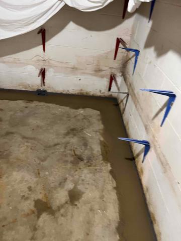 Basement Waterproofing System