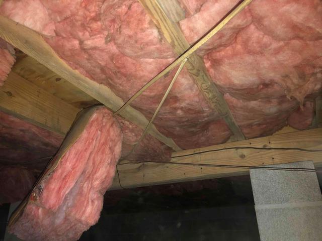 Mold Growth and Damp Fiberglass