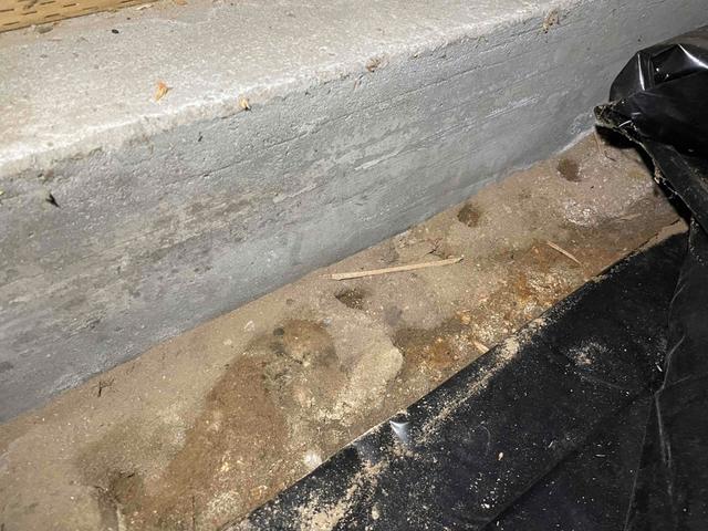 Foundation Repair