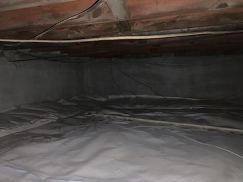 Mold Remediation