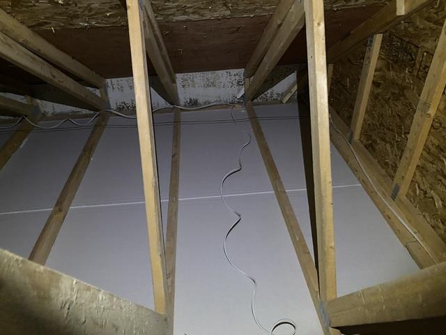 Mold on sheathing