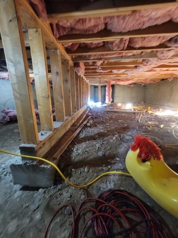 Crawl Space Repair