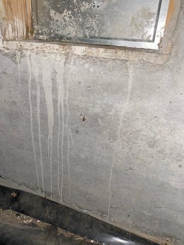 Foundation Repair