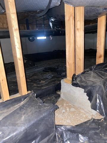 After covering the whole area with cleanspace, the customer will not have a strong leakage as before, as well as limit musty odors, mold, and pets.