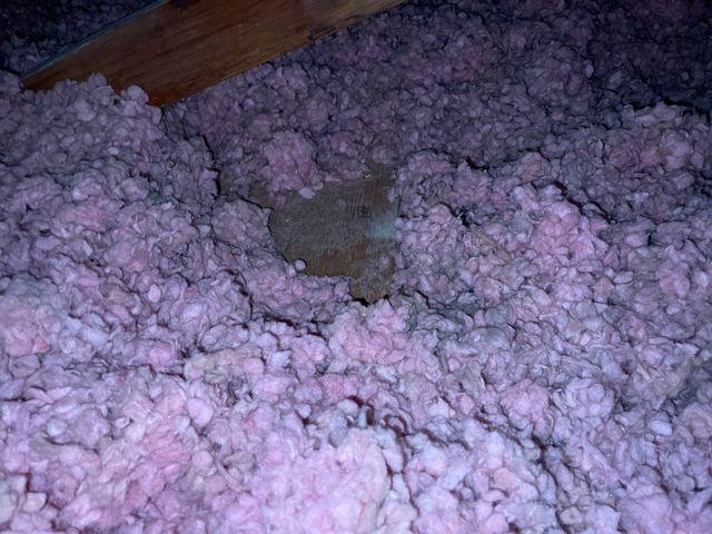 Old Insulation