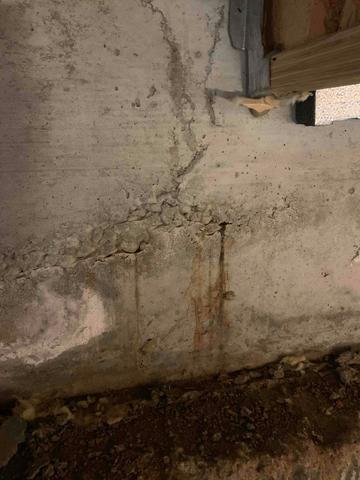 Crawl Space Repair