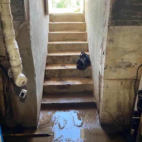 Before any work was done, the cellar had no drainage systems in place. Water could only enter and exit via the stairs, so this meant that water could travel down the stairs, but it could not go back up the stairs. The water that pooled in the stairs caused mud to form and made the cellar very...