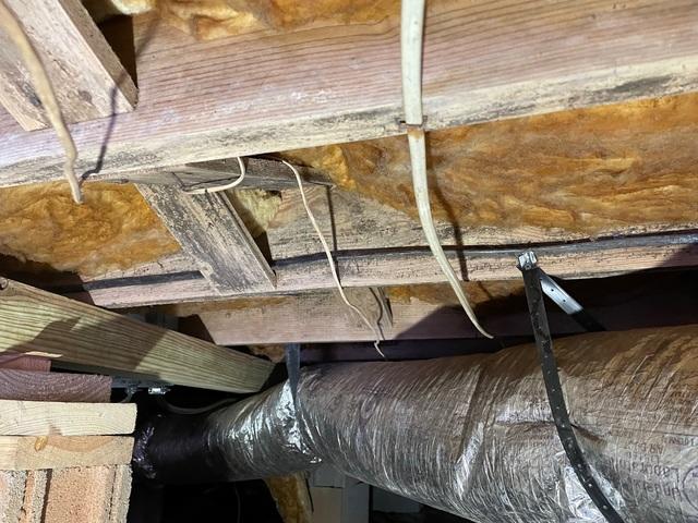 Moldy Floor Joist