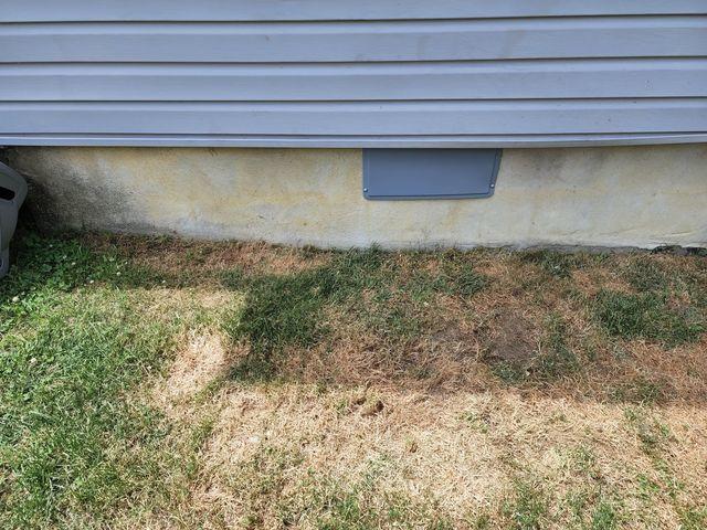 Crawl Space Door