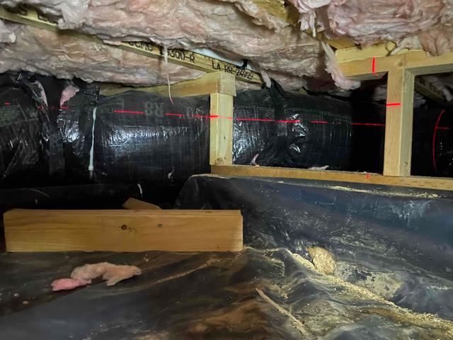 Crawl Space Examination