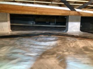 We applied an antimicrobial solution, called Shockwave, to the affected surfaces of the floor joists. This solution will eliminate mold and mildew, but it does not remove any staining left behind from the growth. It is also important to note that the mold can grow back on organic materials if the relative humidity and temperature are not controlled.