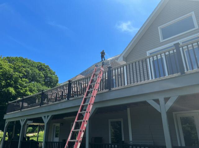 Professional Roof Cleaning