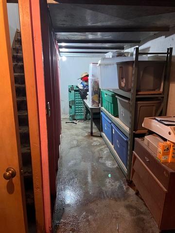 Basement Before Cont...