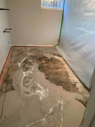 Basement Cracks and Rot