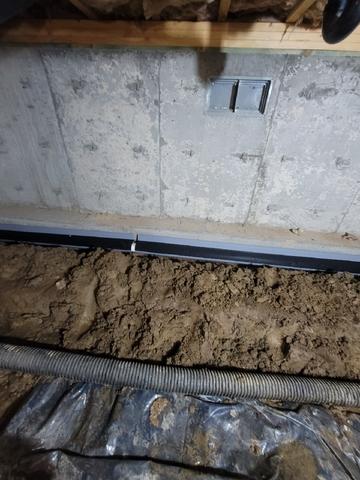 Crawl Space Examination