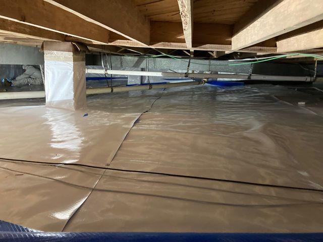 CleanSpace Covering
