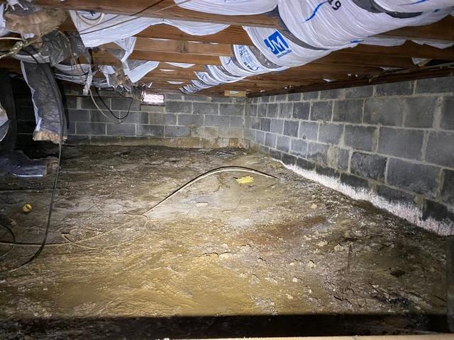 Crawl Space Before