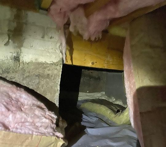 Old Insulation