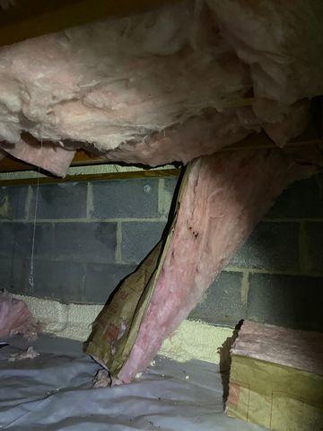 Old Insulation