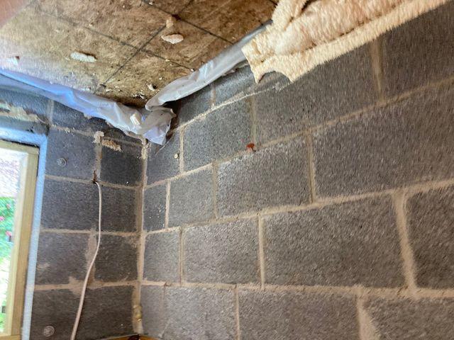 Old Insulation Removed