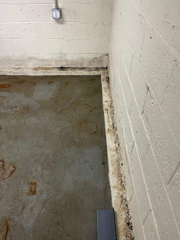 Damp Basement