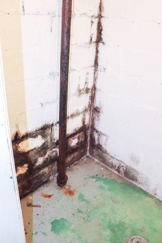 Water and Mold Along Basement Wall Before