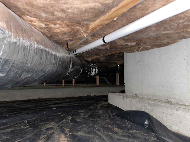 The current state of the customer's crawl space by the time our foreman got there.