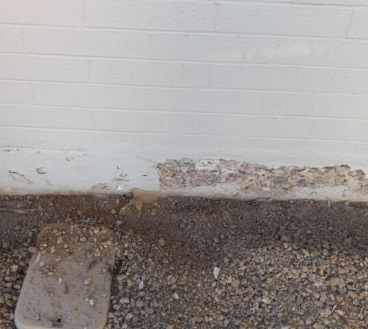 Symptoms of Stem Wall Problems: Flaking Paint