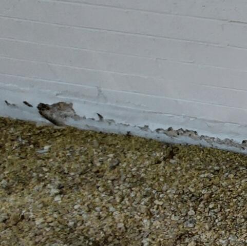 Symptoms of Stem Wall Problems: Spalling Concrete