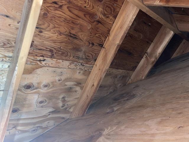 Mold Remediated from Sheathing