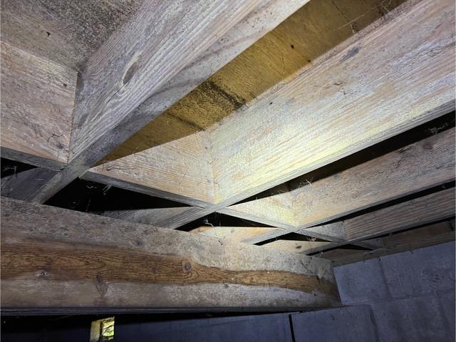 The beams were covered with mold spores, which needed to be removed through mold remediation.