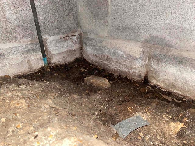 Wet Soil and Efflorescence