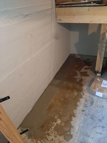 The WaterGuard System