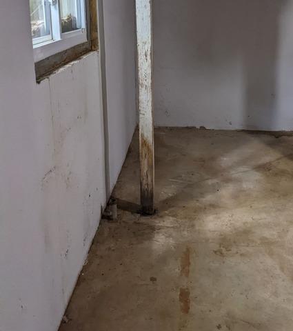 Basement Mold Damage