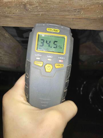 Very High Wood Moisture Measurement