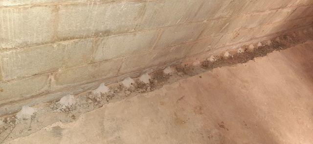 WaterGuard Waterproofing System