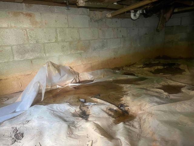 Large Pools of Water Near Entrance